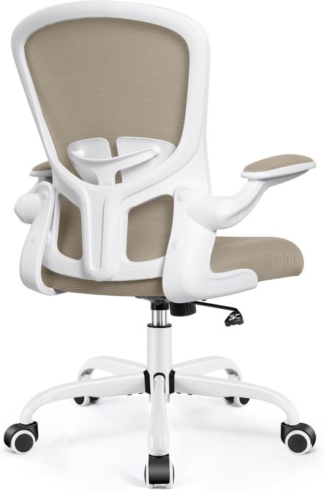 FelixKing Ergonomic Office Chair